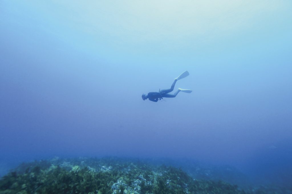 The Amazing Story Of Japan S Freediving Fisherwomen Discovery