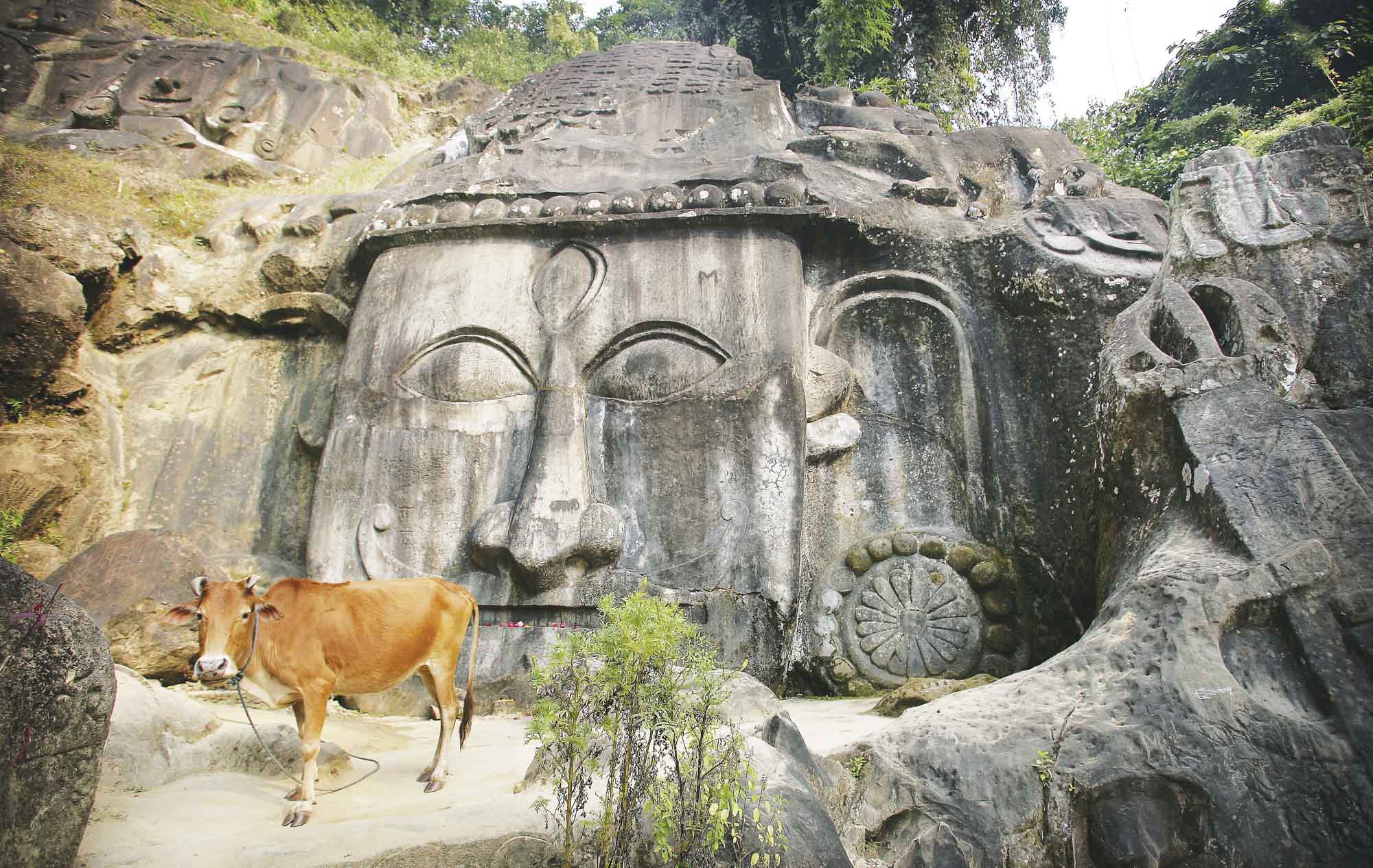 Sacred Cow At Unakoti, India
