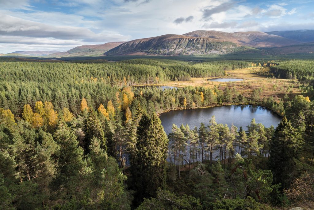 Uath Lochans in the Cairngorms National Park