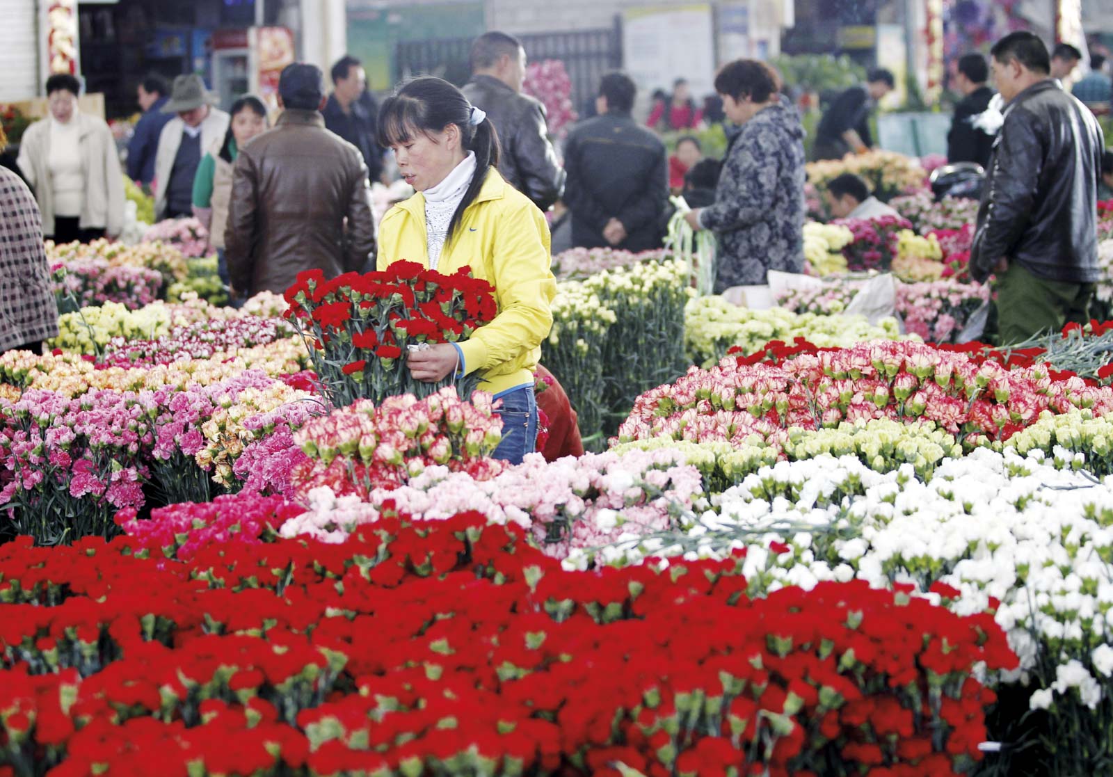 Dounan Flower Market, Kunming