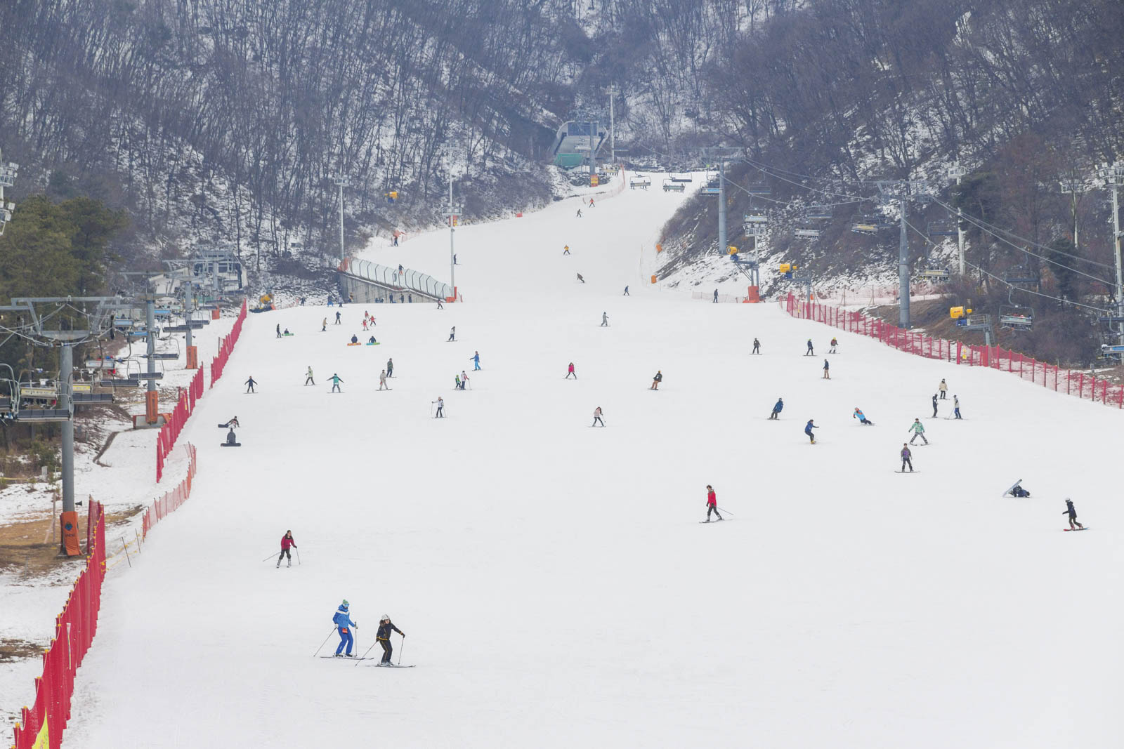 Skiing at Jisan Forest Ski Resort, South Korea