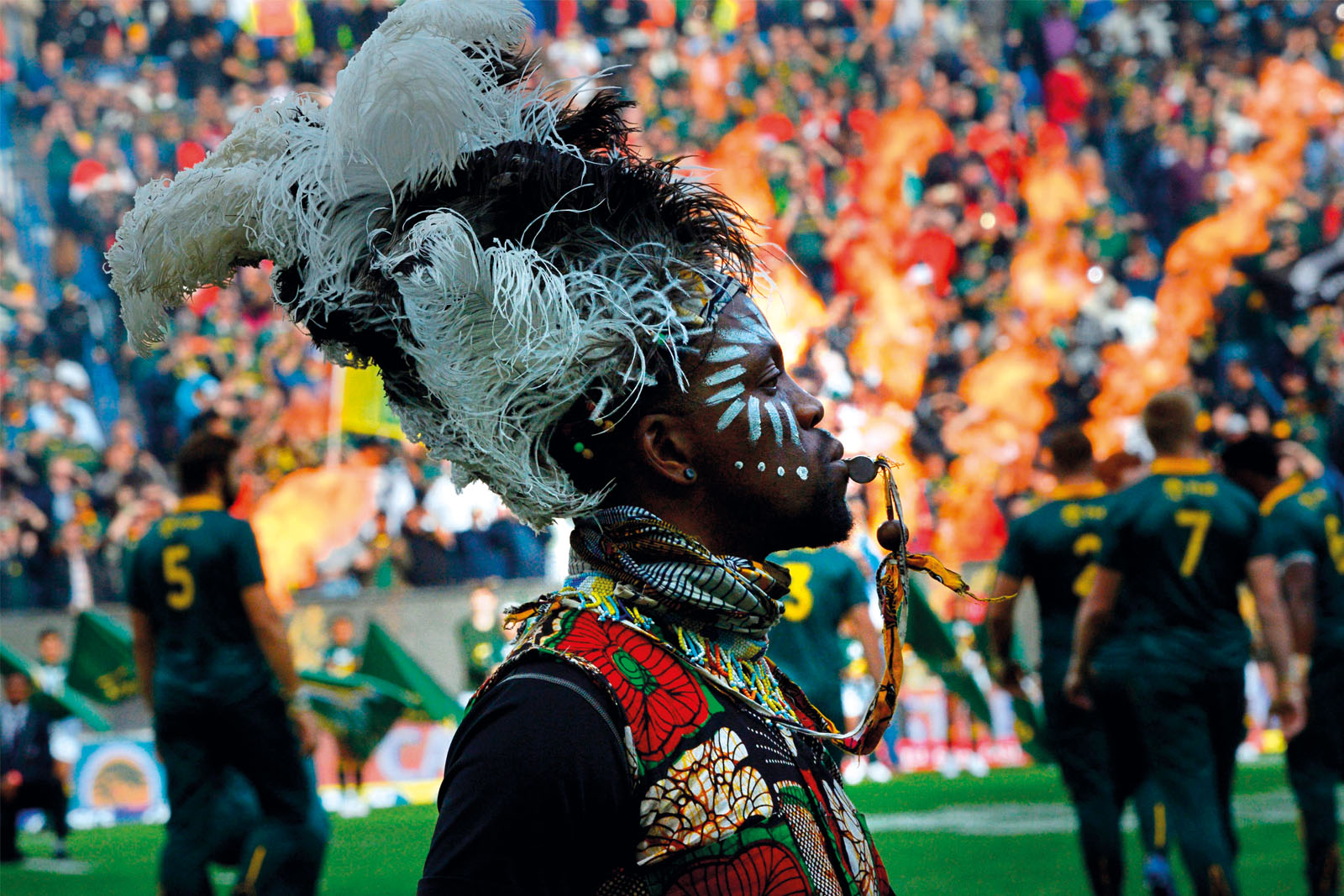在全球最佳欖球場館的開普敦Newlands球場，一名穿上成套裝束的支持者觀看南非隊與新西蘭隊互相較勁