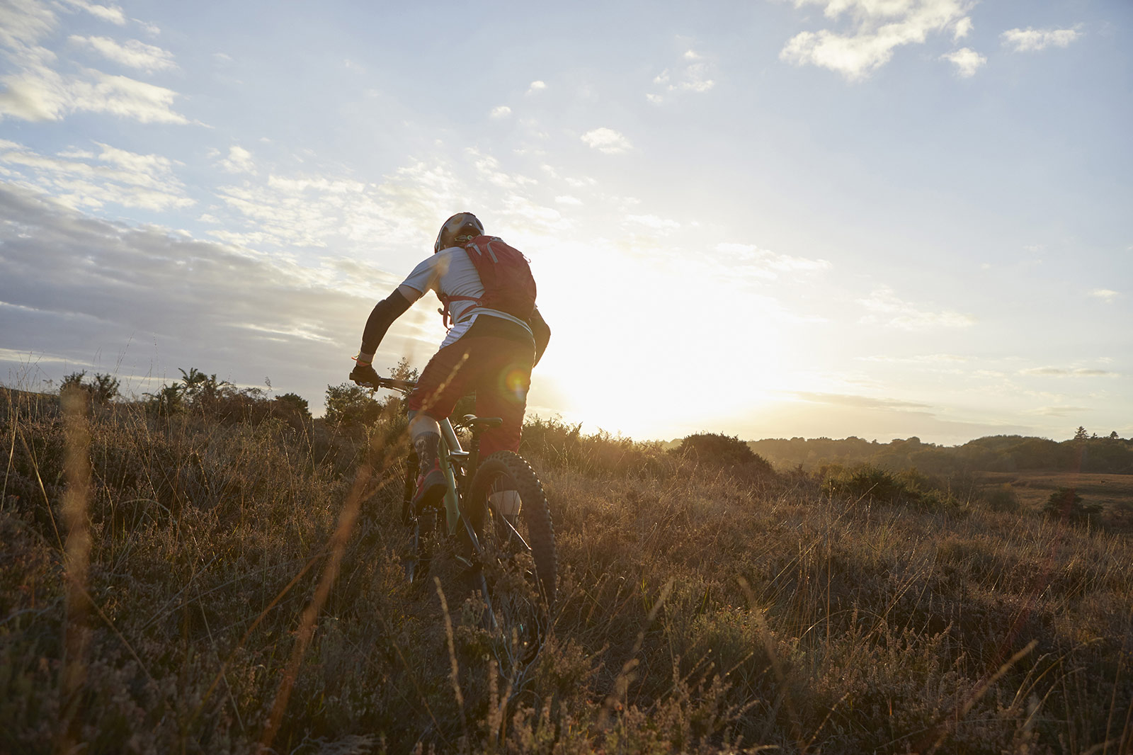 Male mountain biker biking on moorland track in sunlight. New Forest