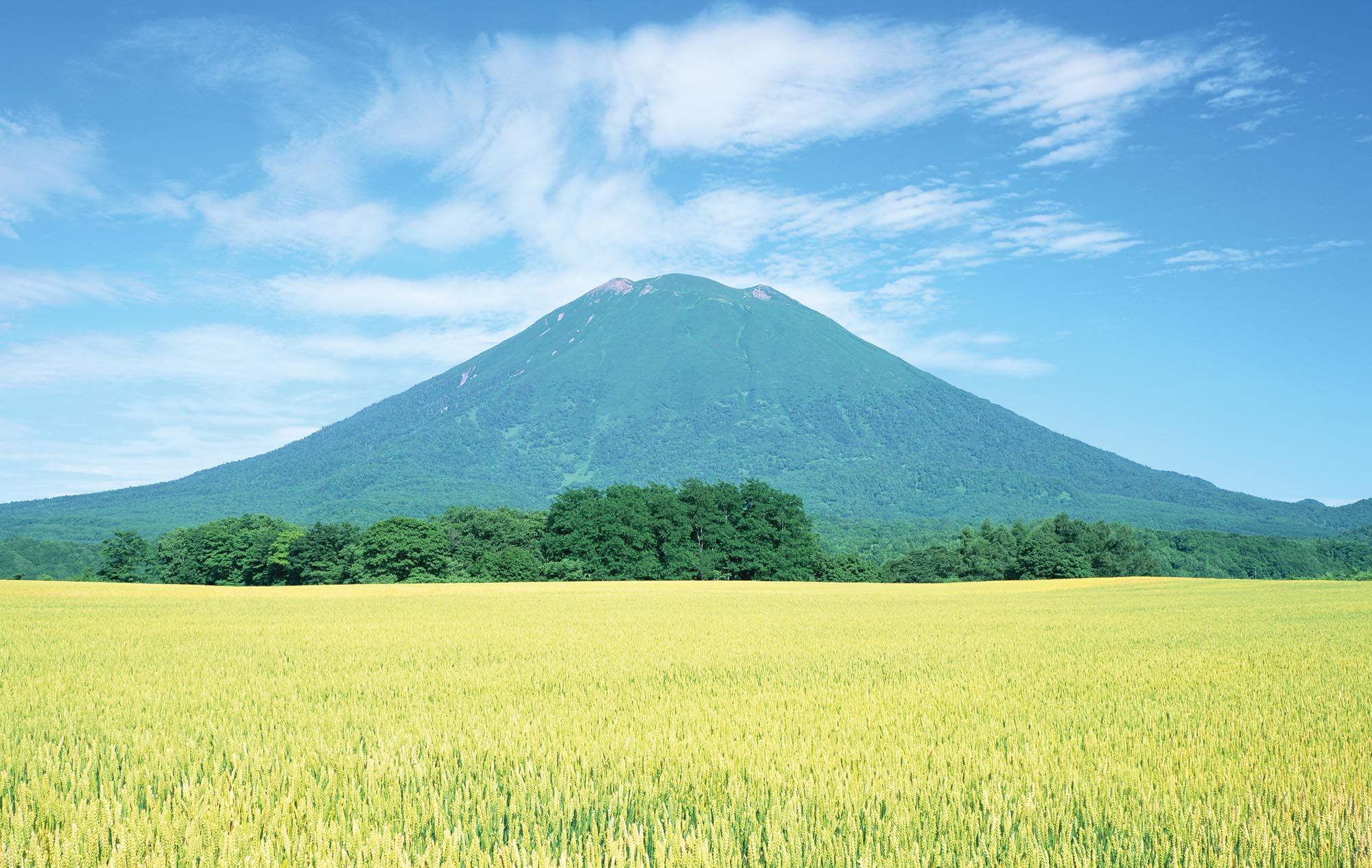 Mount Yotei Japan summer travel