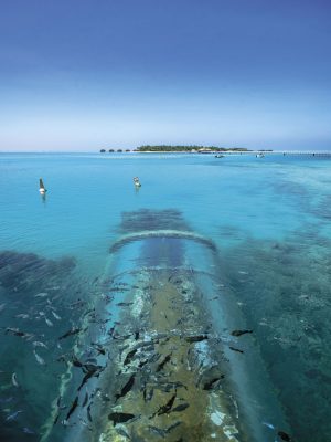 Maldives, Rangali Island. Conrad Hilton Resort. Couple at Ithaa underwater restaurant. (MR)credit: Casey Anderson