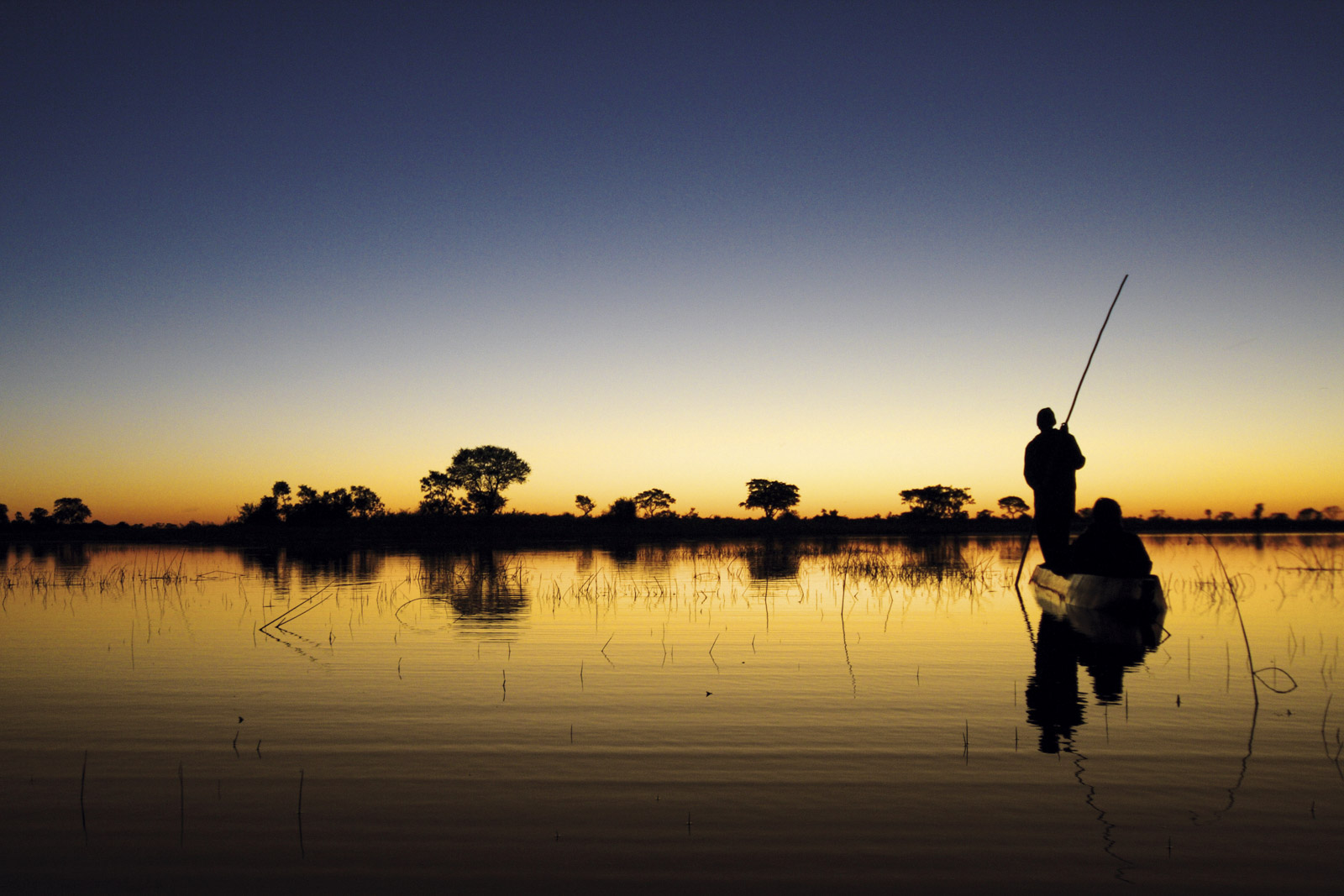 Okavango Floating, cape town