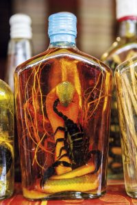 Lao alcohol with snakes and poisonous bugs, Laos