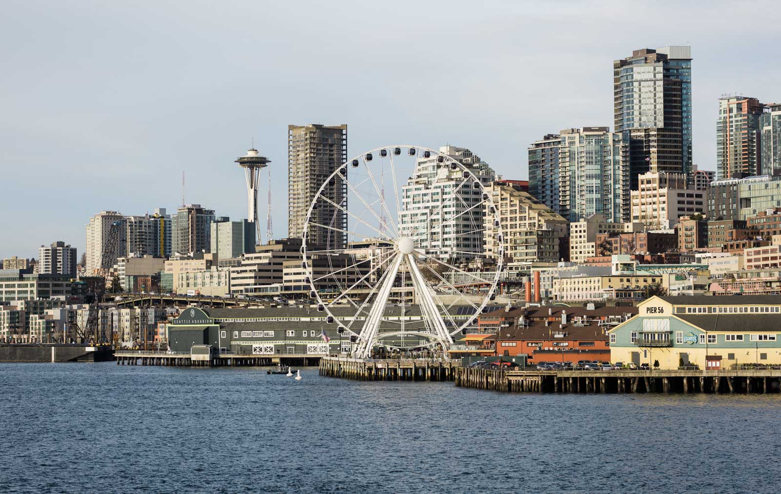 The Seattle Great Wheel at Pier 57