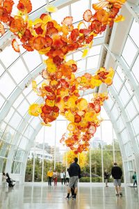 Chihuly-6-copy