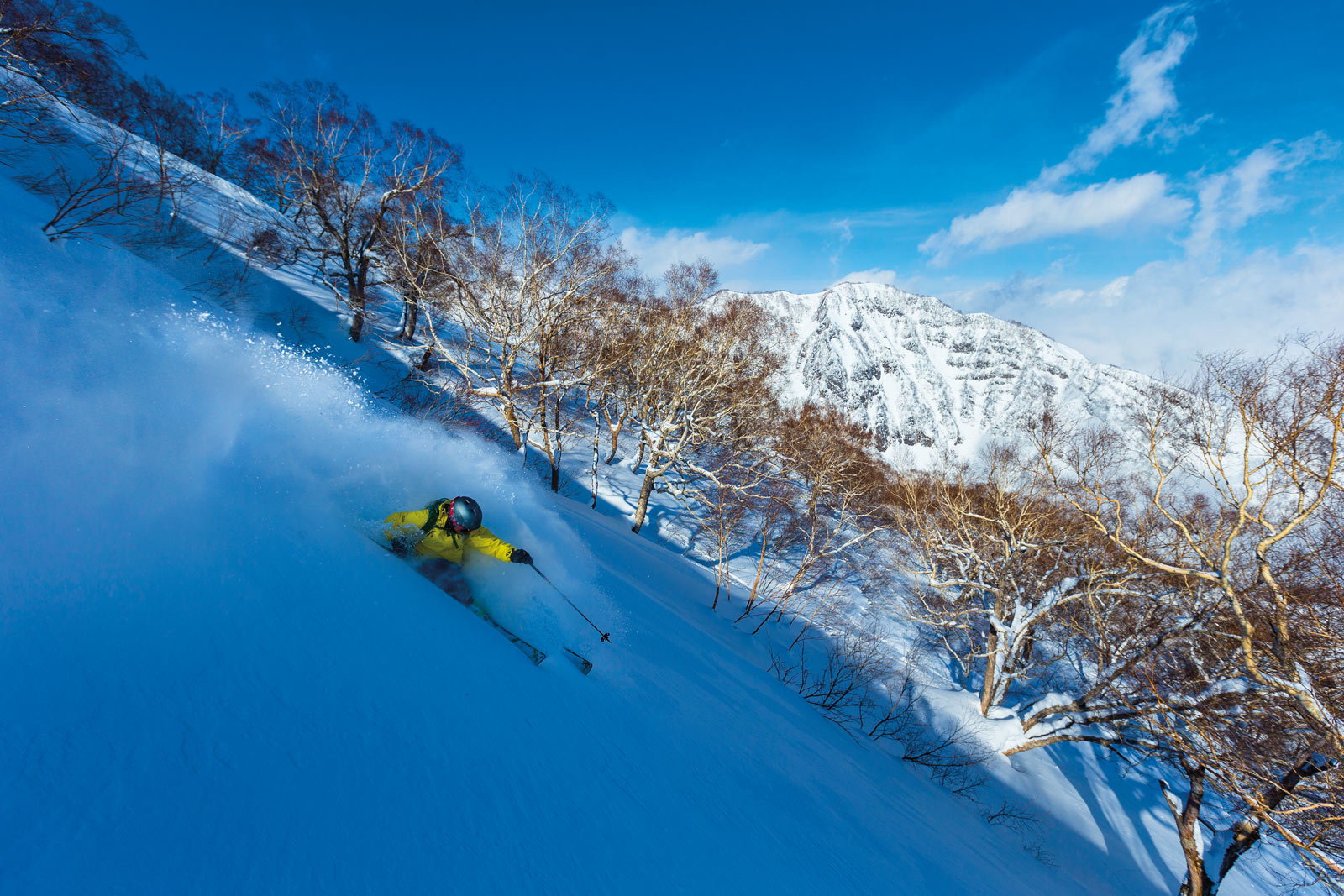 Sven Brunso skiing powder at the Akakura-Kanko ski