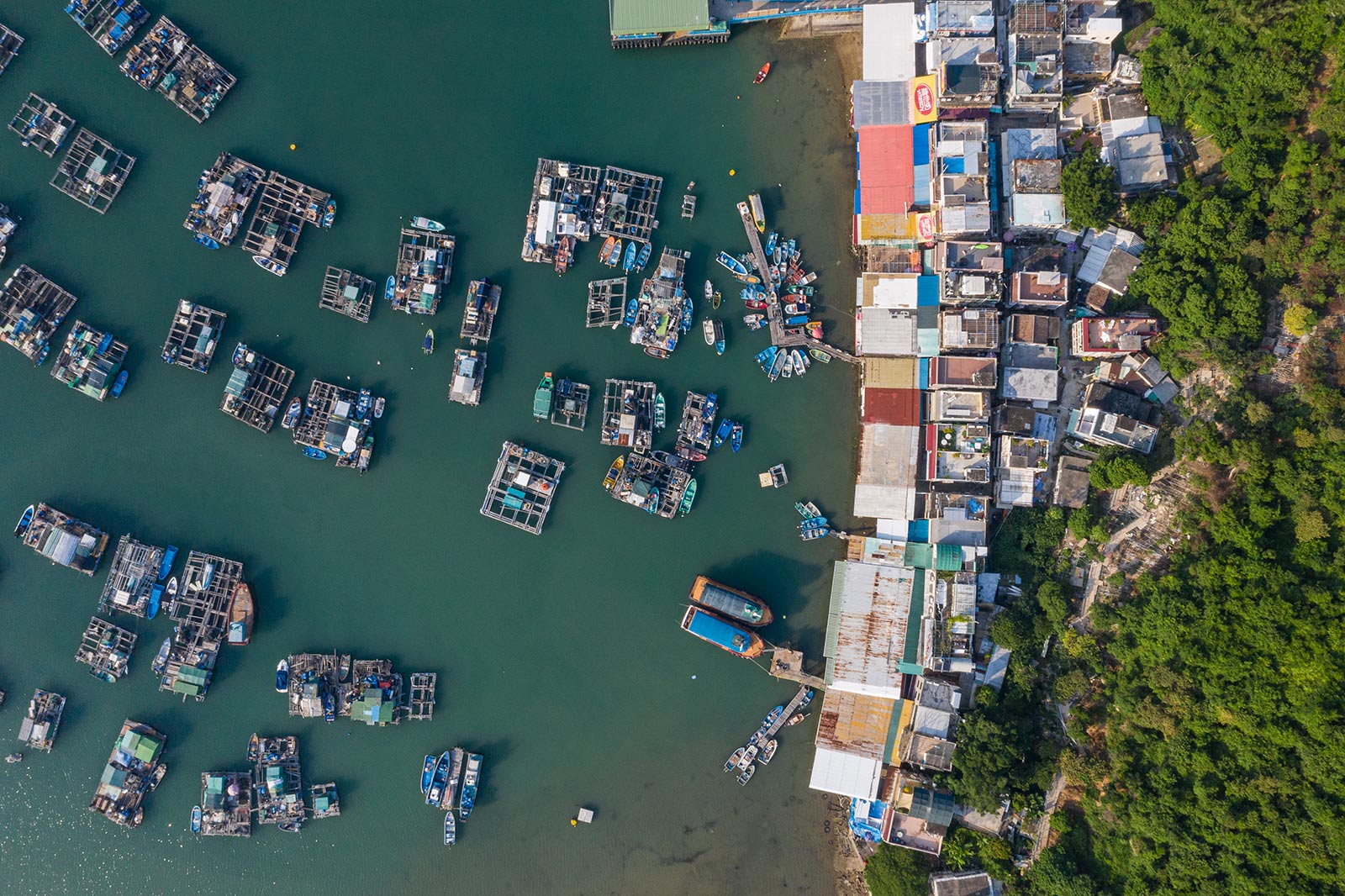 Fish farm rafts spread out across the bay at Sok Kwu Wan on Lamma Island
