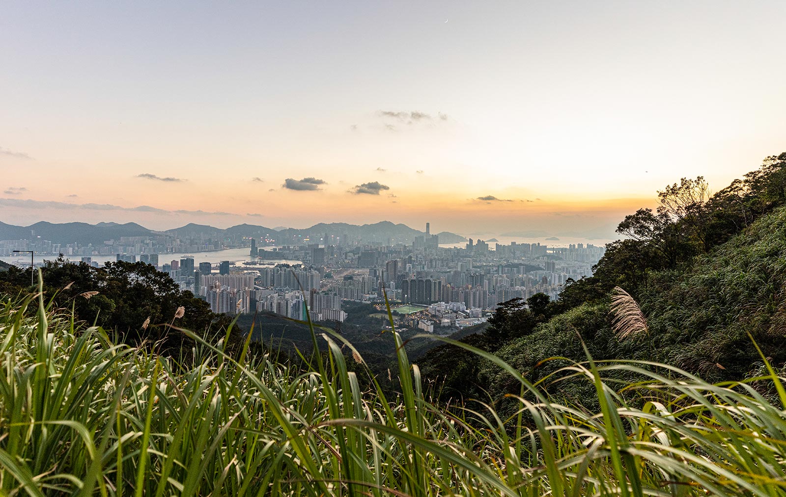 grass-and-hong-kong-skyline-from-kowloon-peak-ma-on-shan-country-park