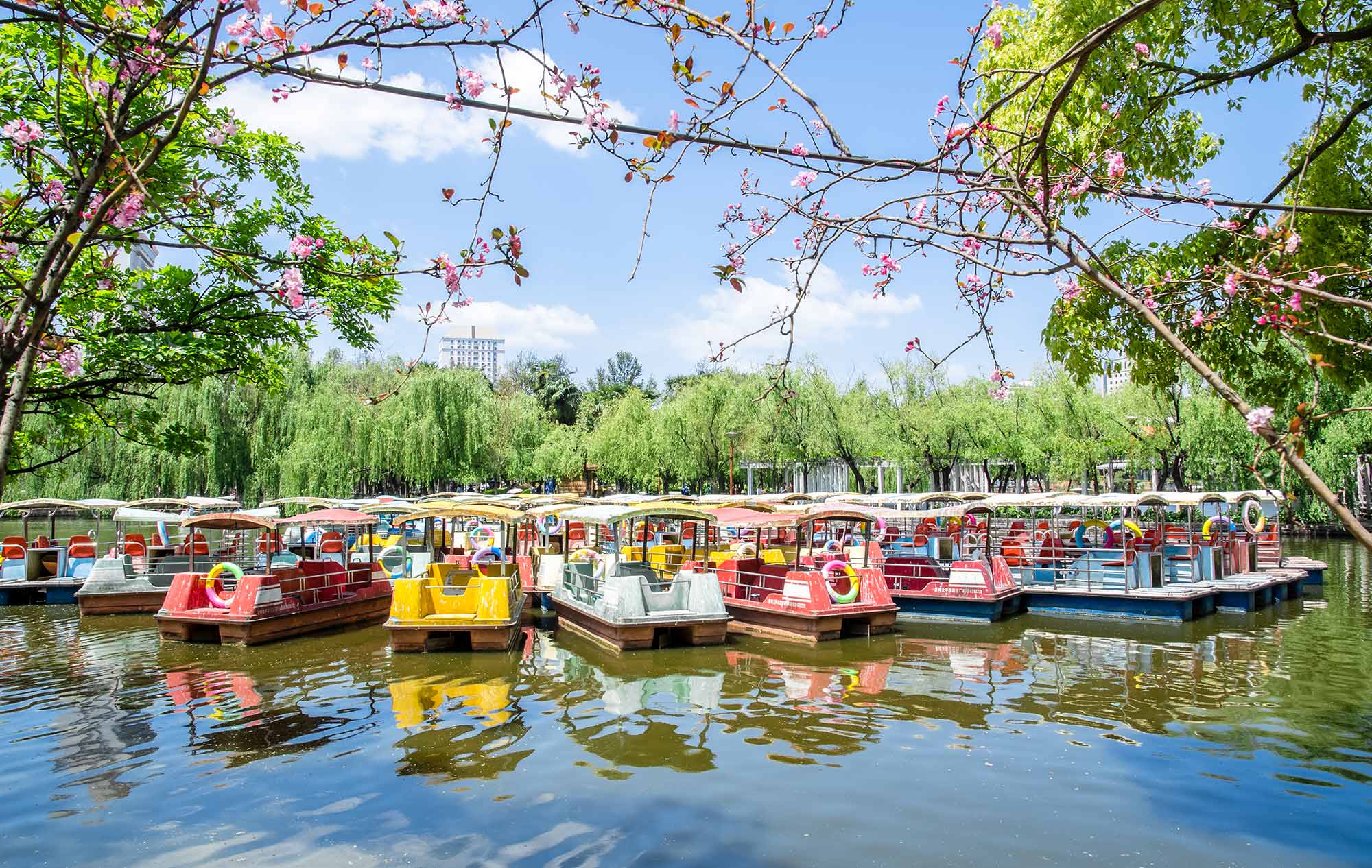 Scenic lake park at Kunming