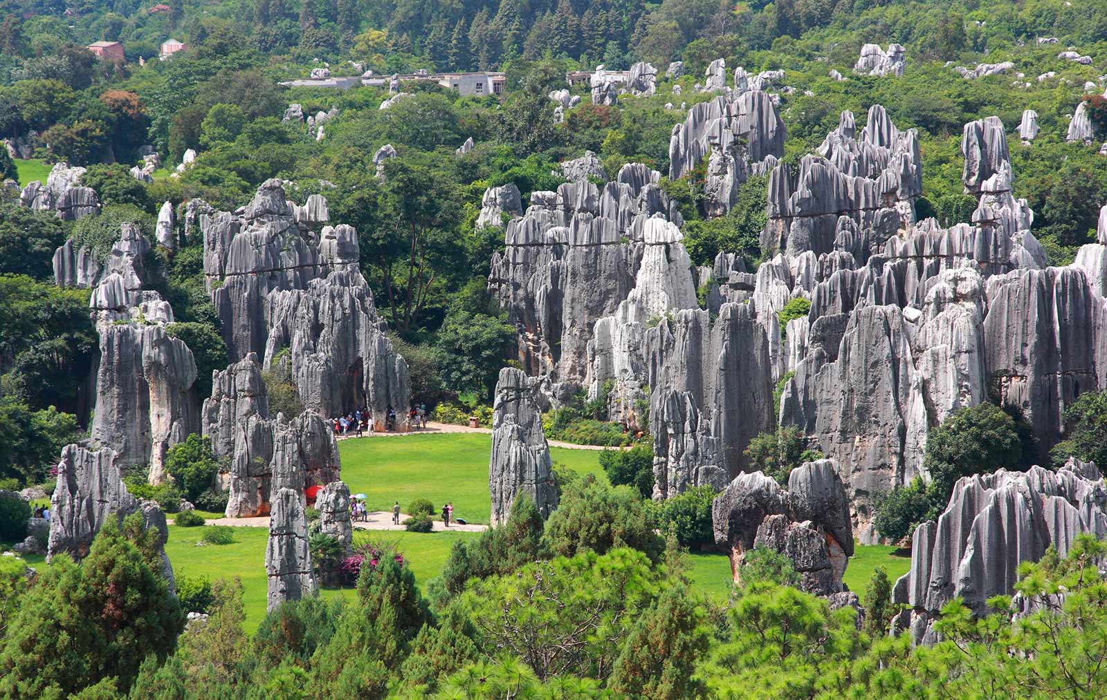 Shilin Stone Forest filled with unique rock formations that stretch over 300 kilometres