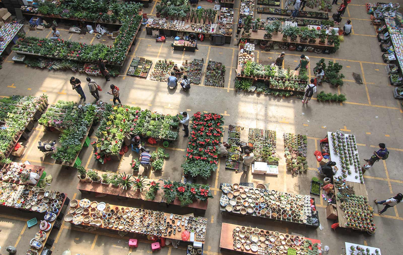 Dounan Flower Market opens daily in Kunming