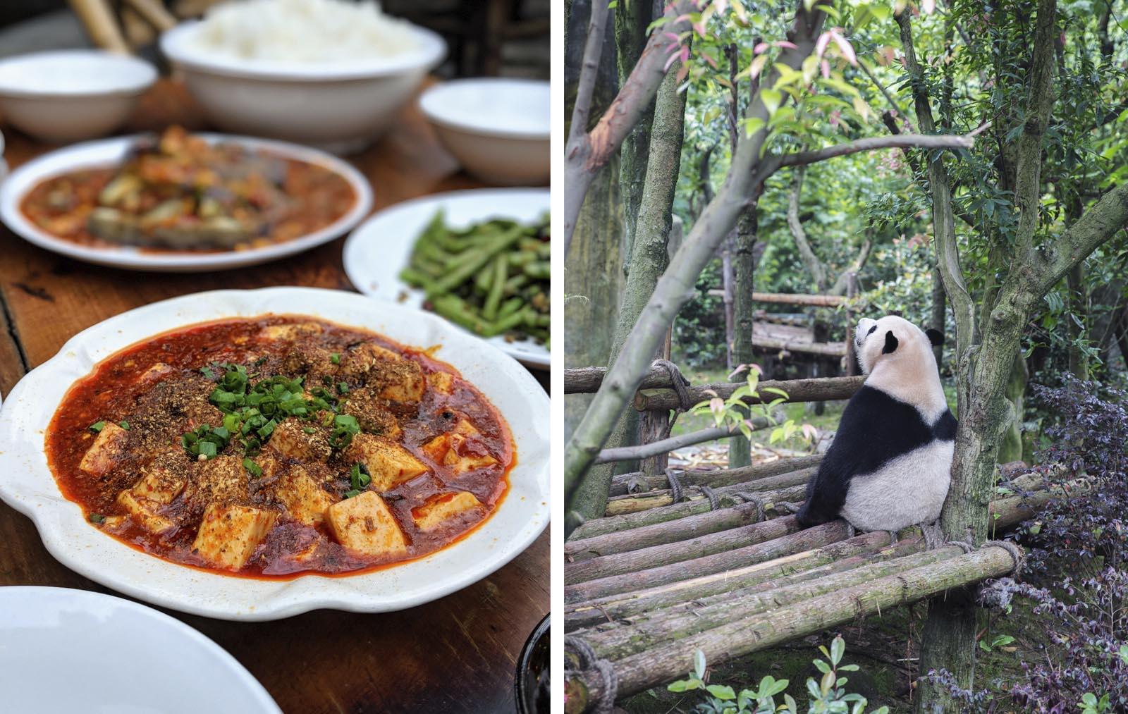 Chengdu mapo tofu dish and panda