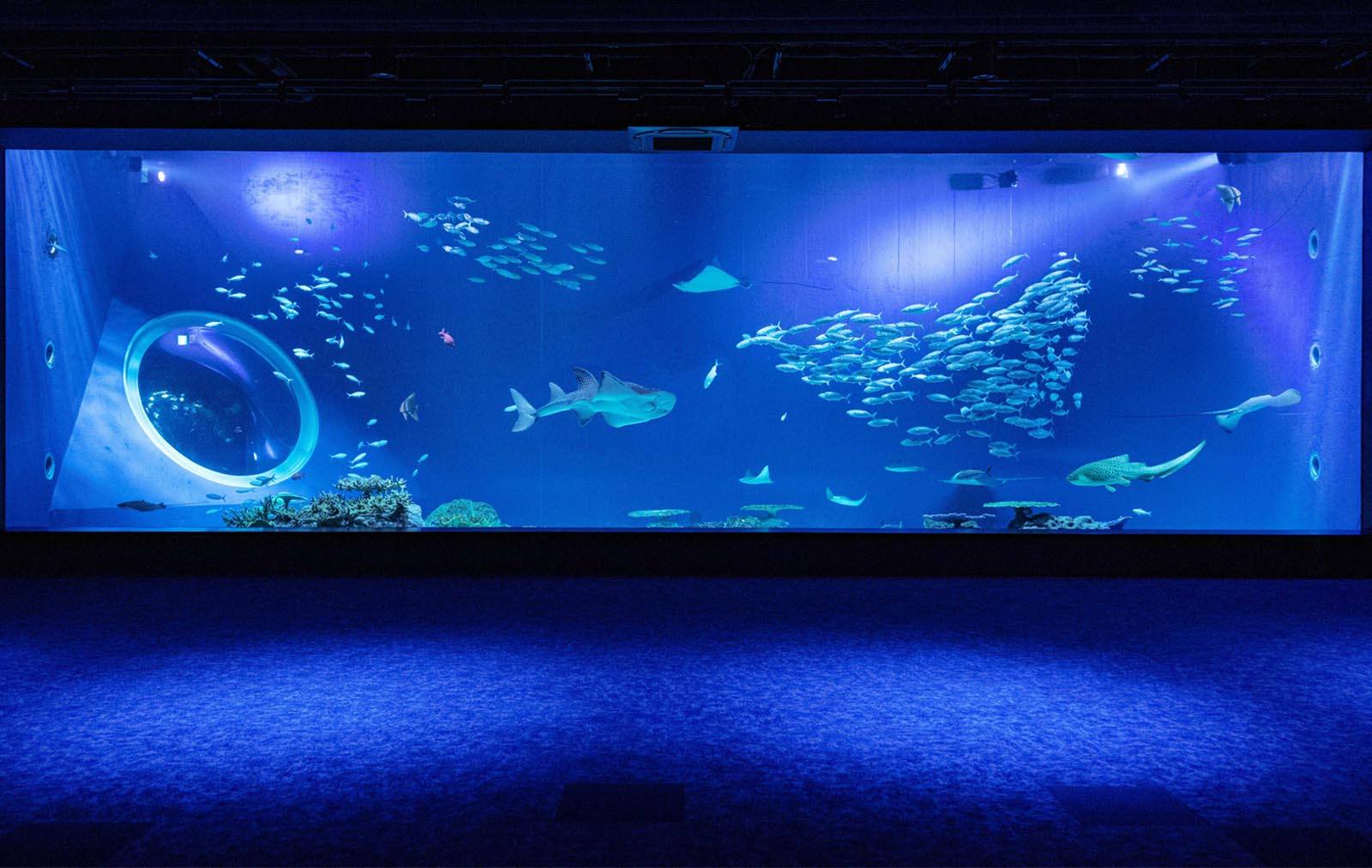 DMM Kariyushi Aquarium in Okinawa, Japan