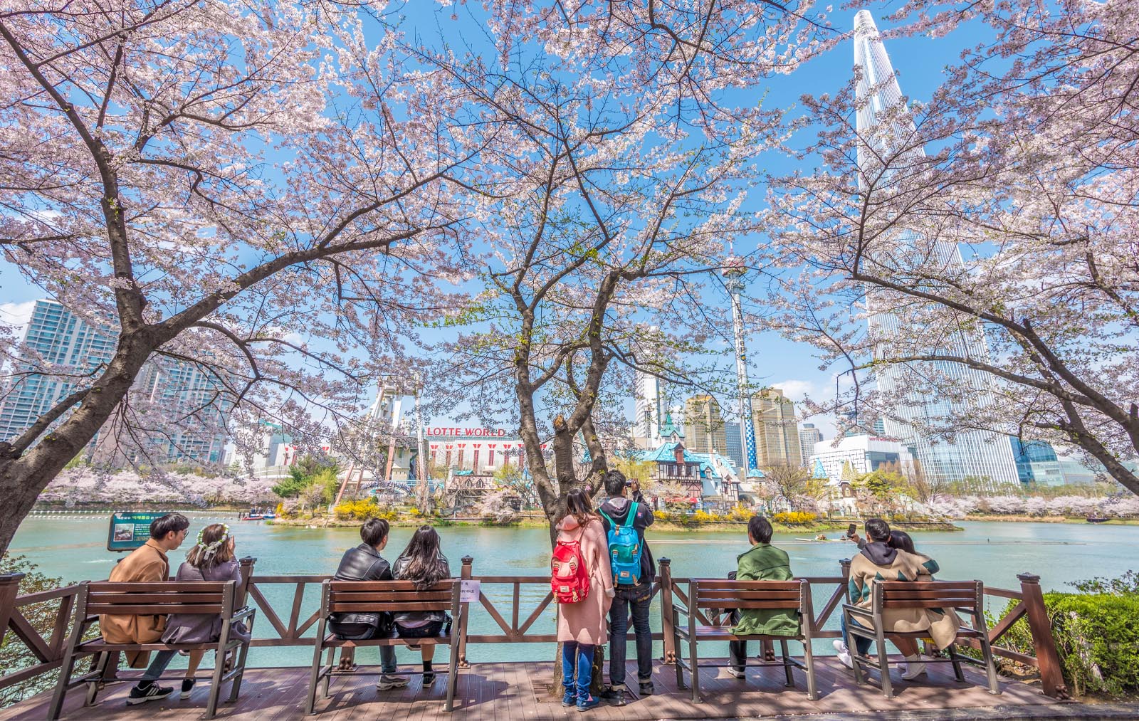 Lotte-world-tower-seokchhon-lake-spring-cherry-blossom