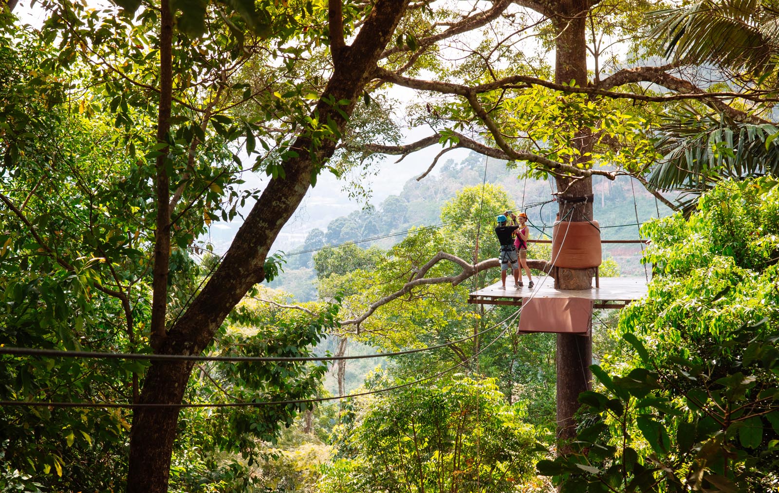 Tourists on a zip line in the tropical forest canopy try one of most popular outdoor activities in Phuket