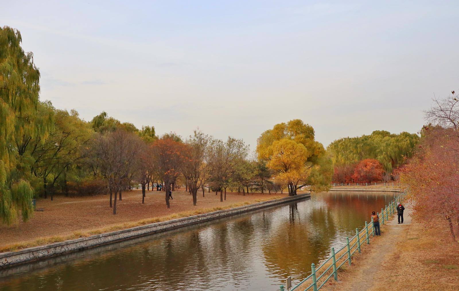Beijing Chaoyang Park autumn tree China Lake surface