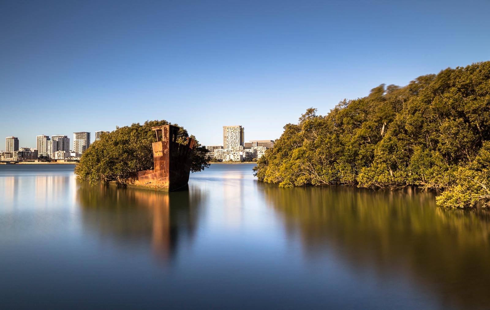 One of the best Sydney walks takes you to Ayrfield Shipwreck on the Parramatta River