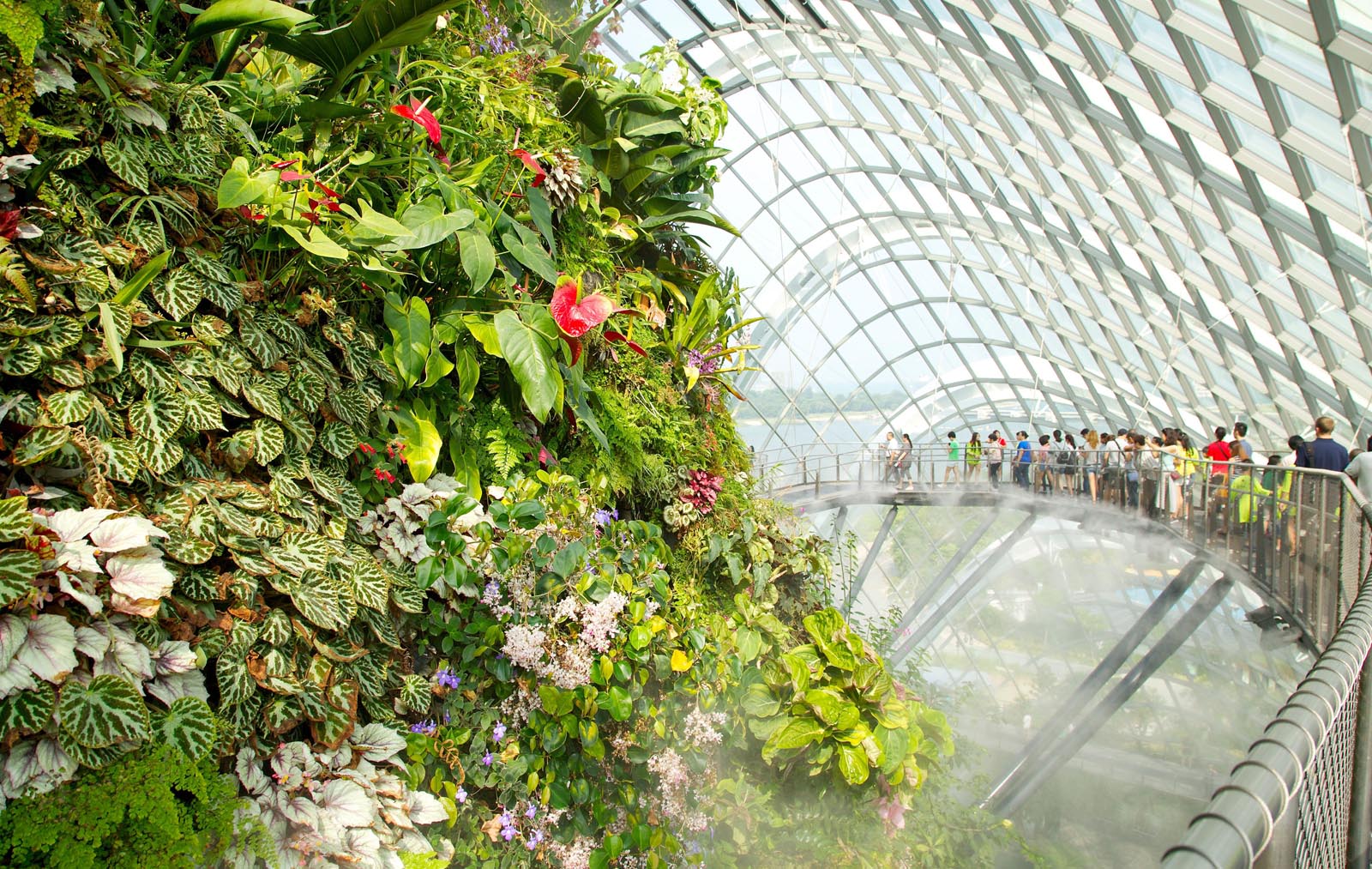 Gardens by the bay greenhouse with tourists